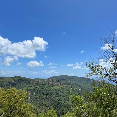 Dente Di Leone Otel San Mauro Cilento Dış mekan fotoğraf