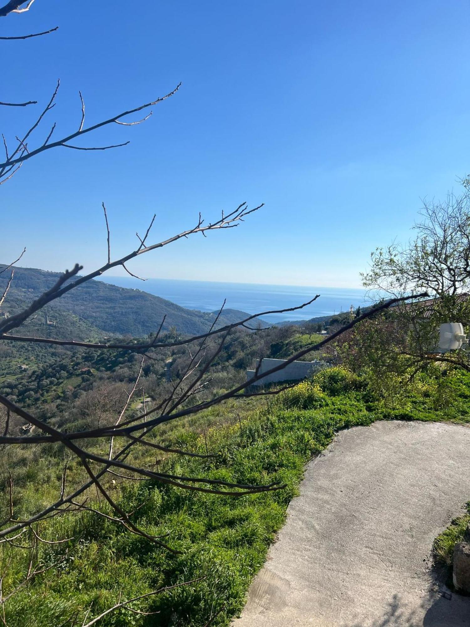 Dente Di Leone Otel San Mauro Cilento Dış mekan fotoğraf